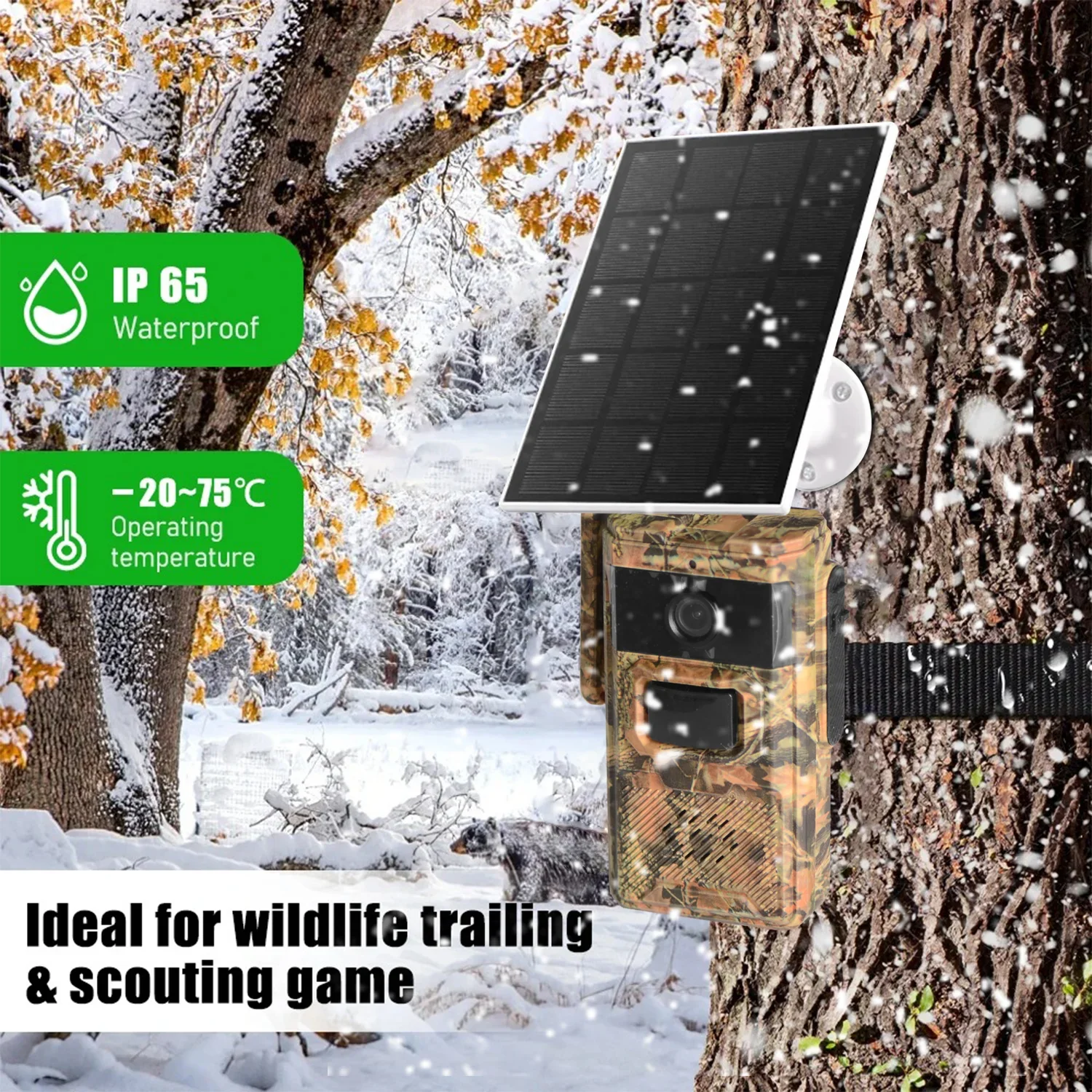 كاميرا مراقبة الحياة البرية خا - مراجعة Hunting Outdoors Card وسعره