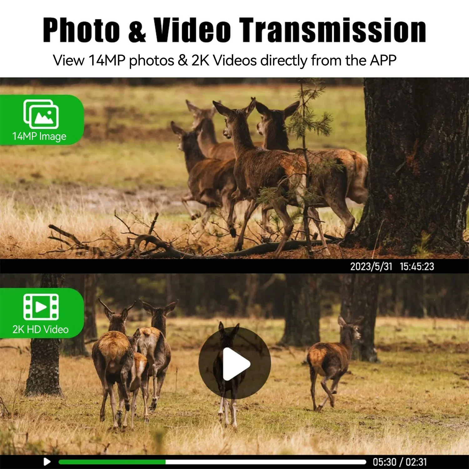كاميرا مراقبة الحياة البرية خا - مراجعة Hunting Outdoors Card وسعره